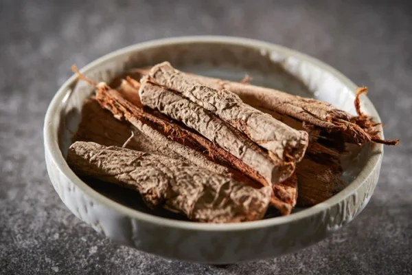 Slippery Elm Bark vs Inner Bark on Tincture Labels: What Should You Look For?